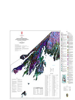 Geology of the Connaigre Peninsula and Adjacent