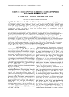 'Insect Succession Pattern on Decomposing Pig Carcasses In