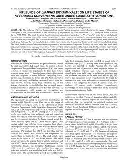 Infleunce of Lipaphis Erysimi (Kalt.) on Life Stages of Hippodamia Convergens Guer Under Laboratry Conditions