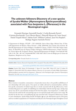 The Unknown Followers: Discovery of a New Species of Sycobia Walker (Hymenoptera: Epichrysomallinae) Associated with Ficus Benjamina L