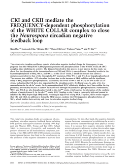 CKI and CKII Mediate the FREQUENCY-Dependent Phosphorylation of the WHITE COLLAR Complex to Close the Neurospora Circadian Negative Feedback Loop