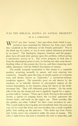 Was the Biblical Manna an Animal Product?