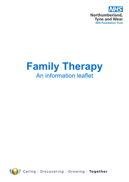 Family Therapy an Information Leaflet