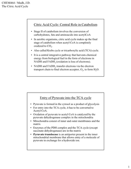 Citric Acid Cycle