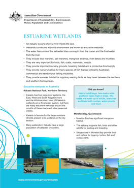 Estuarine Wetlands