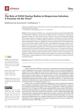 The Role of ND10 Nuclear Bodies in Herpesvirus Infection: a Frenemy for the Virus?