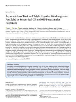 Asymmetries of Dark and Bright Negative Afterimages Are Paralleled by Subcortical on and OFF Poststimulus Responses