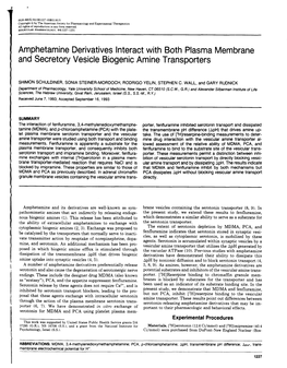 Amphetamine Derivatives Interact with Both Plasma Membrane and Secretory Vesicle Biogenic Amine Transporters