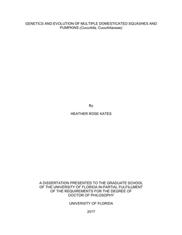 University of Florida Thesis Or Dissertation Formatting