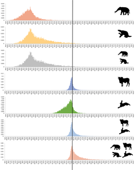 Eutherians Experienced Elevated Evolutionary Rates in the Immediate