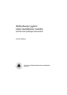 Helicobacter Pylori Outer Membrane Vesicles and the Host-Pathogen Interaction