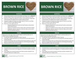 Brown Rice Brown Rice