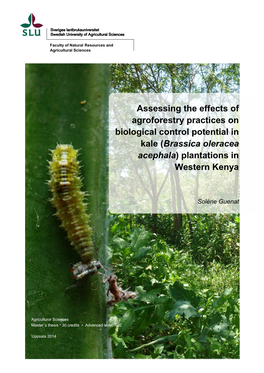 Assessing the Effects of Agroforestry Practices on Biological Control Potential in Kale (Brassica Oleracea Acephala) Plantations in Western Kenya