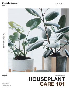 Houseplant Care 101