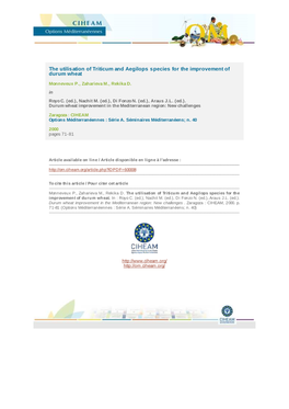 The Utilisation of Triticum and Aegilops Species for the Improvement of Durum Wheat