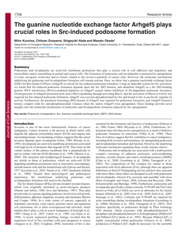 The Guanine Nucleotide Exchange Factor Arhgef5 Plays Crucial Roles in Src-Induced Podosome Formation