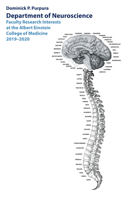 Department of Neuroscience Faculty Research Interests at the Albert Einstein