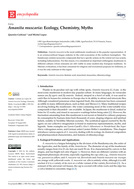 Amanita Muscaria: Ecology, Chemistry, Myths