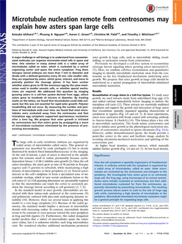 Microtubule Nucleation Remote from Centrosomes May Explain