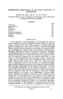 Comparative Morphology of the Male Genitalia in Lepidoptera