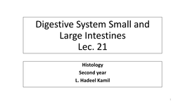Digestive System Small and Large Intestines Lec. 21