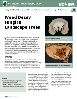 Wood Decay Fungi in Landscape Trees