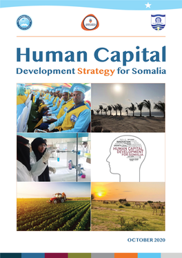 Human Capital Development Strategy for Somalia.Pdf