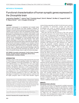 Functional Characterisation of Human Synaptic Genes Expressed in the Drosophila Brain Lysimachos Zografos1,2, Joanne Tang1, Franziska Hesse3, Erich E