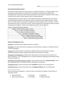 The Arthropod Phylum Phyla a Major Groups of Organisms