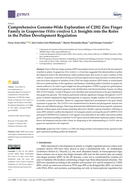 Comprehensive Genome-Wide Exploration of C2H2 Zinc Finger Family in Grapevine (Vitis Vinifera L.): Insights Into the Roles in the Pollen Development Regulation