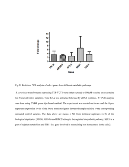 Fig.S1 Real-Time PCR Analysis of Select Genes from Different Metabolic Pathways S. Cerevisiae Transformants Expressing TEF-YCT1