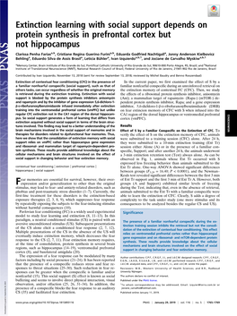 Extinction Learning with Social Support Depends on Protein Synthesis in Prefrontal Cortex but Not Hippocampus