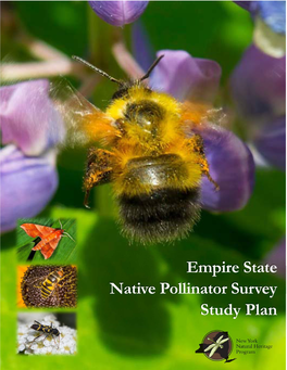 Empire State Native Pollinator Survey Study Plan