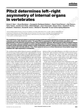 Pitx2 Determines Left–Right Asymmetry of Internal Organs in Vertebrates 8