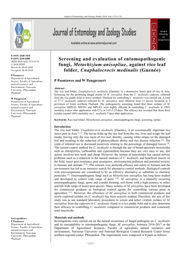 Screening and Evaluation of Entomopathogenic Fungi