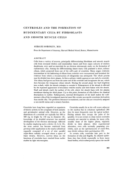 Centrioles and the Formation of Rudimentary Cilia by Fibroblasts and Smooth Muscle Cells