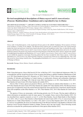 Revised Morphological Descriptions of Otatea Nayeeri and O. Transvolcanica (Poaceae: Bambusoideae: Guaduinae) and a Reproductive Key to Otatea