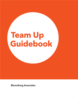 Team up Guidebook