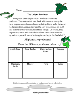 Plants Are Producers! Draw the Different Producers Below