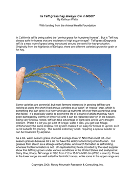 Is Teff Grass Hay Always Low in NSC? by Kathryn Watts