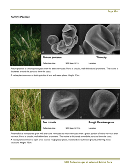 Pollen Images of Selected British Flora: Part 3