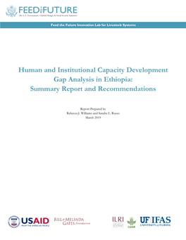 Human and Institutional Capacity Development Gap Analysis in Ethiopia: Summary Report and Recommendations