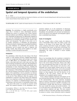 Spatial and Temporal Dynamics of the Endothelium