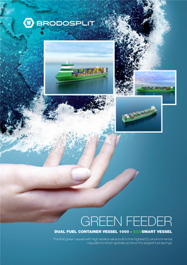 Green Feeder Dual Fuel Container Vessel 1000 - Ecosmart Vessel