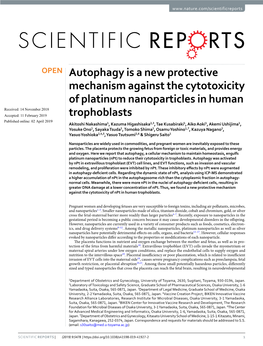 Autophagy Is a New Protective Mechanism Against the Cytotoxicity