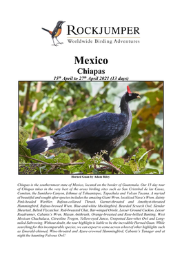 Mexico Chiapas 15Th April to 27Th April 2021 (13 Days)