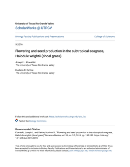 Flowering and Seed Production in the Subtropical Seagrass, Halodule Wrightii (Shoal Grass)