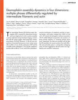 Desmoplakin Assembly Dynamics in Four Dimensions