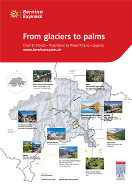 From Glaciers to Palms Chur / St