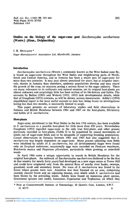 Studies on the Biology of the Sugar-Cane Pest Saccharosydne Saccharivora (Westw.) (Horn., Delphacidae)